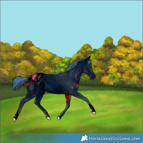 Horse Color:ERROR: UNKNOWN ANOMALY