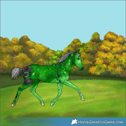 Horse Color:ERROR: UNKNOWN ANOMALY