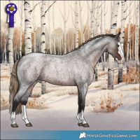 Horse Color:Liver Red Roan Splash