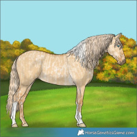 Horse Color:Palomino Pearl  and Palomino Dun Tobiano 