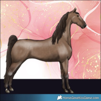 Horse Color:Liver Red Dun 