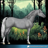 Horse Color:Silver Grullo Chinchilla 