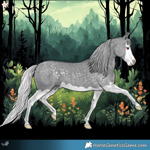 Horse Color:Silver Grullo Chinchilla Splash 