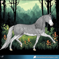 Horse Color:Silver Grullo Chinchilla Splash 