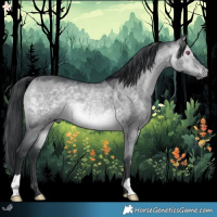 Horse Color:Brown Chinchilla Dun 