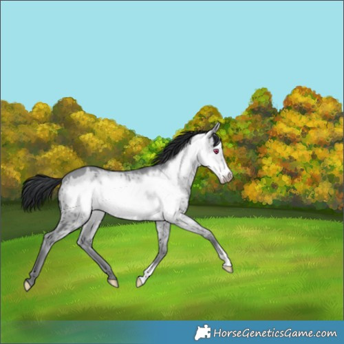 Horse Color:Classic Champagne Chinchilla Dun Frame Brindle 