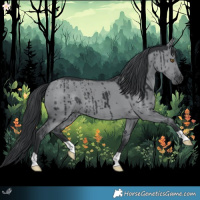 Horse Color:Grullo Chinchilla Brindle 