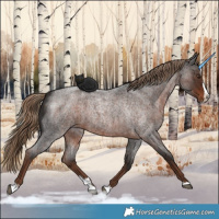 Horse Color:Liver Red Roan Splash 