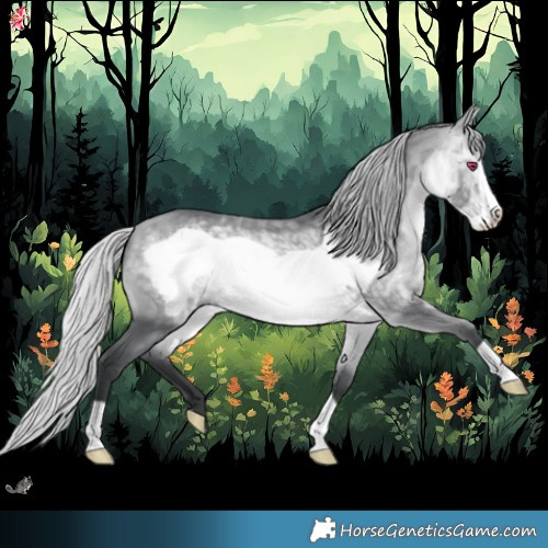 Horse Color:Silver Bay Chinchilla Frame 
