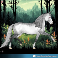 Horse Color:Silver Bay Chinchilla Frame 