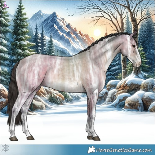 Horse Color:White Spotted Brown Ice Roan Rabicano