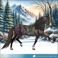 Horse Color:Bay Ice Dun Rabicano 