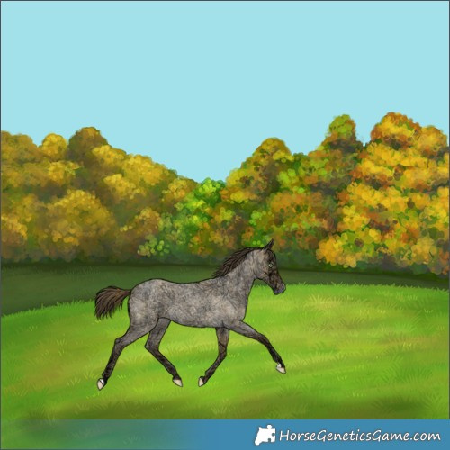 Horse Color:Sable Cream Champagne Ice Roan Dun 