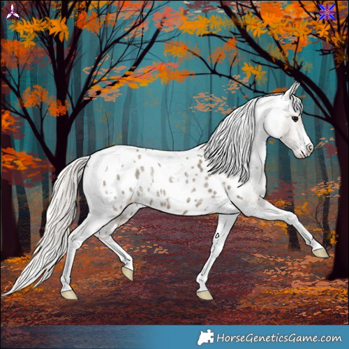 Horse Color:Silver Smoky Black Ice Tobiano Appaloosa Rabicano 