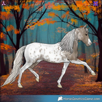 Horse Color:Silver Smoky Black Ice Tobiano Blanket Rabicano 