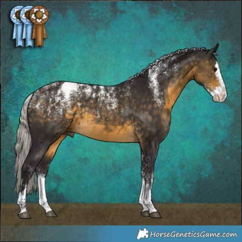 Horse Color:Powder White Silver Buckskin Splash Rabicano