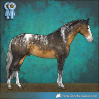 Horse Color:Powder White Silver Buckskin Splash Rabicano 