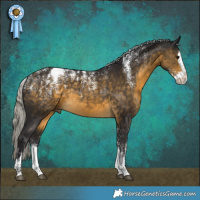 Horse Color:Powder White Silver Buckskin Splash Rabicano