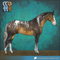 Horse Color:Powder White Silver Buckskin Splash Rabicano