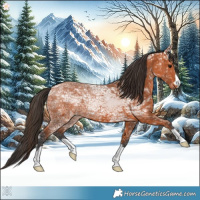 Horse Color:Bay Ice 