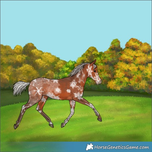 Horse Color:Silver Bay Ice 