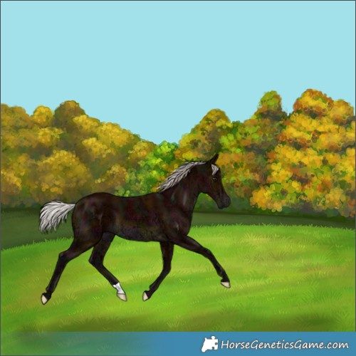 Horse Color:Midnight Silver Bay Ice 