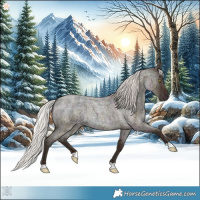 Horse Color:Midnight Silver Amber Champagne Ice Roan