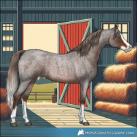 Horse Color:Liver Red Roan Splash Frame 