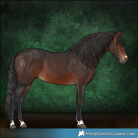 Horse Color:Brown 