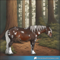 Horse Color:White Spotted Silver Brown Tobiano