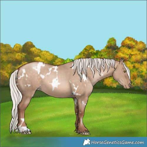 Horse Color:White Spotted Silver Brown Pearl Dun 