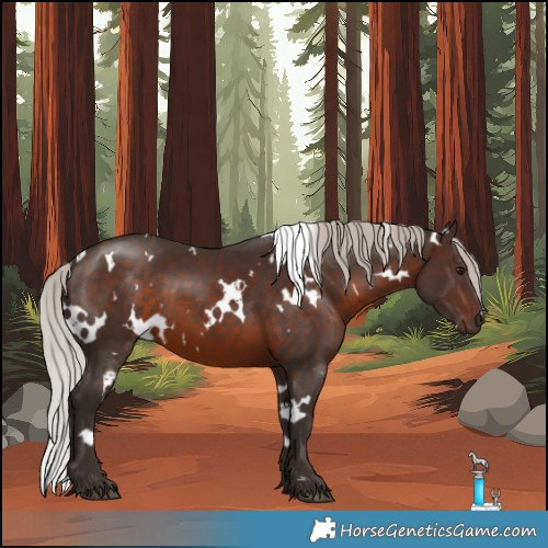 Horse Color:White Spotted Silver Brown 