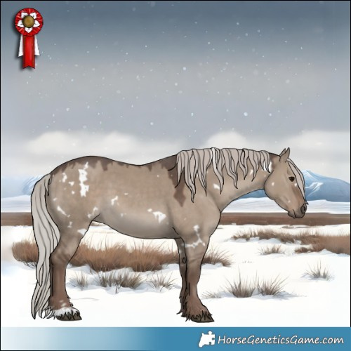 Horse Color:White Spotted Silver Grullo 