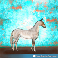 Horse Color:Chocolate Palomino Roan Rabicano 