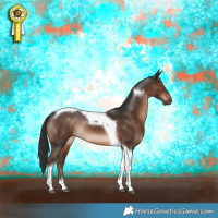Horse Color:Liver Chestnut Tobiano Rabicano
