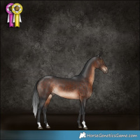 Horse Color:Brown Rabicano 