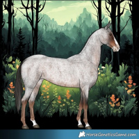 Horse Color:Liver Red Roan Splash 