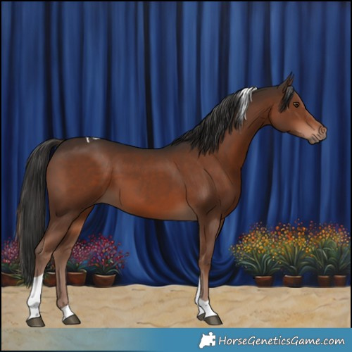 Horse Color:Liver Chestnut Tobiano 
