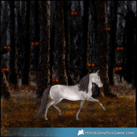 Horse Color:Platinum Chocolate Brown Pearl Dun 