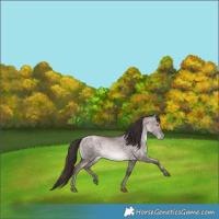Horse Color:Platinum Chocolate Brown Pearl Dun 