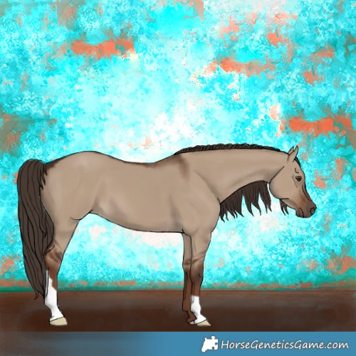Horse Color:Liver Red Dun 