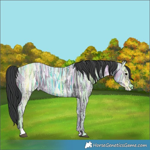 Horse Color:Black Ice 