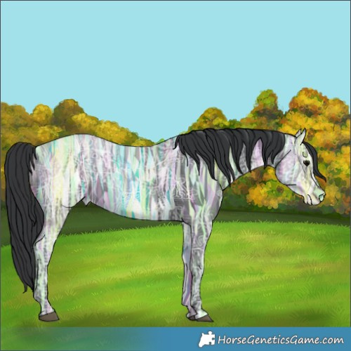 Horse Color:Black Ice 