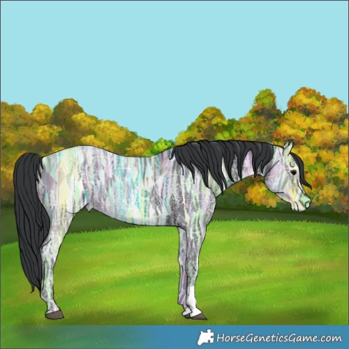 Horse Color:Black Ice 
