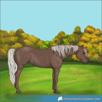 Horse Color:Silver Black 