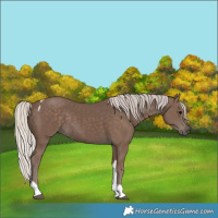 Horse Color:Silver Black Tobiano Rabicano 