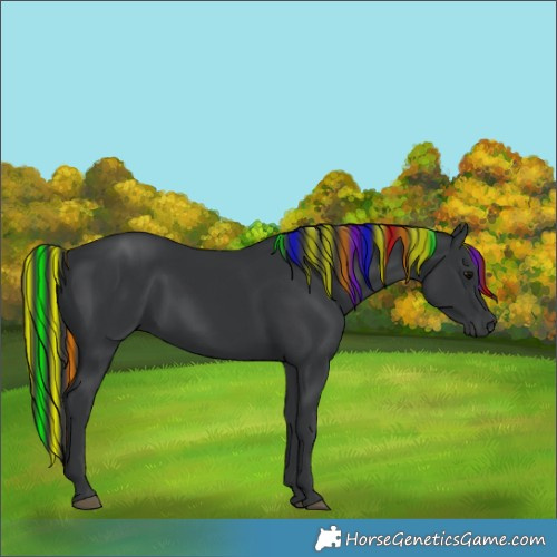 Horse Color:Painted Black 