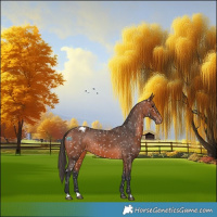 Horse Color:Bay Snowflake Varnish 