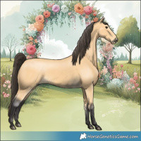 Horse Color:Buckskin 