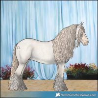 Horse Color:Smoky Creme Roan 